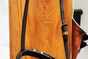 Bridle Headstall with Flash Noseband