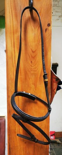 Bridle Headstall with Flash Noseband