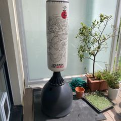 Free Punch Bag