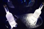 LED Bottle Lights