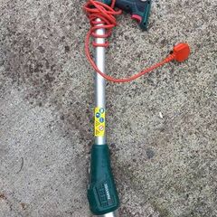 Weed torch