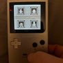 game boy pocket IPS screen with replaced buttons Image 7