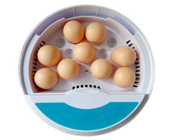 Digital Incubator for hatching eggs 9/12