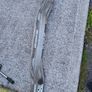 Saab 93 Rear crash bar Image 2