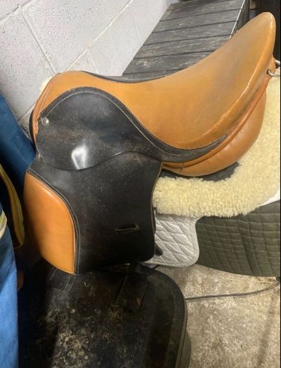 saddle