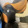 saddle Image 2