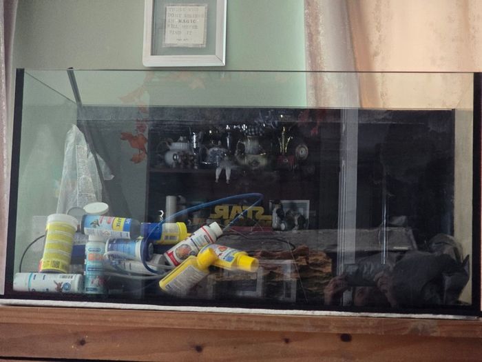 Fish tank
