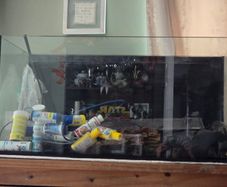 Fish tank