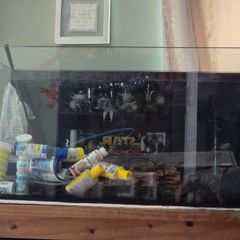 Fish tank