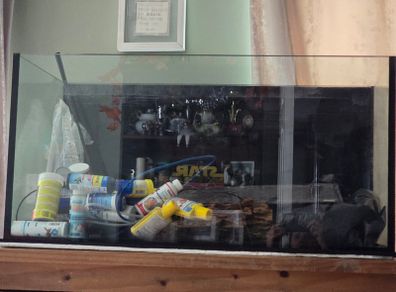 Fish tank