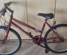 Raleigh Ladies Mountain Bike