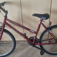 Raleigh Ladies Mountain Bike
