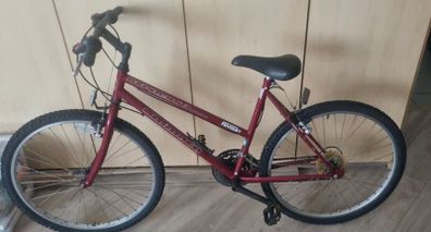 Raleigh Ladies Mountain Bike