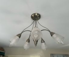 ceiling light 5 bulb