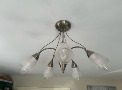 ceiling light 5 bulb