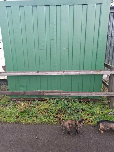 8 X 10 FT Storage Container