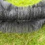 Gutter Brush Black Image 4