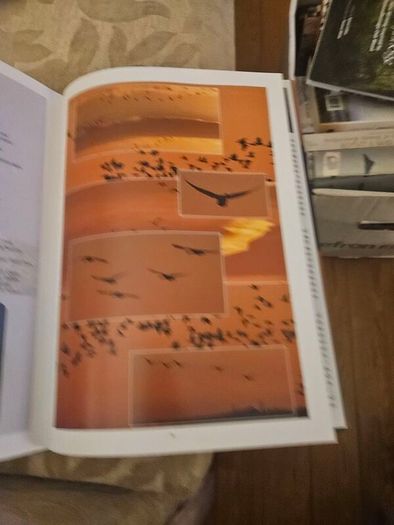 Wexford's Wild Heritage. By Alan Maguire- Christopher J. Wilson- Don Conroy. First Edition Large Volume Hardback With Dustjacket In Good Condition.  See Photos For Same.