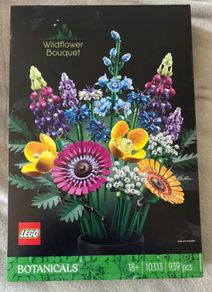 Adult lego set.  Brand new unopened. Duplicate gift. Collect Swords area.
