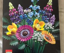 Adult lego set.  Brand new unopened. Duplicate gift. Collect Swords area.