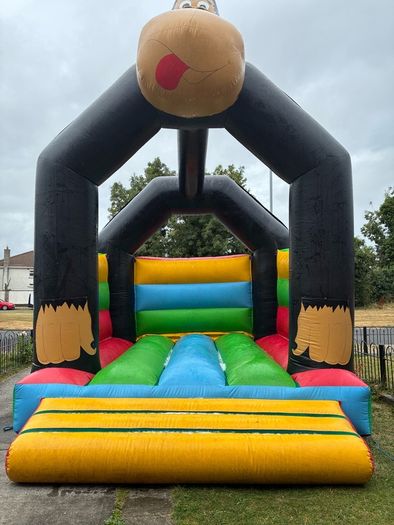 Bouncy castle 15ft