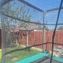 Trampoline Image 3