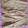 Cargo shorts Image 4