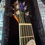 brunswick guitar Image 3