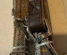 Strong dog collar and lead