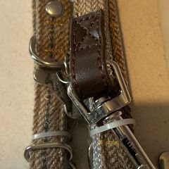 Strong dog collar and lead