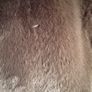 Faux fur coat Image 7