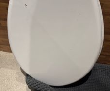 toilet seat