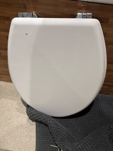 toilet seat