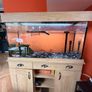 Aquarium, heater, light and filter for sale Image 2