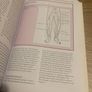 Wound Care Essentials: Practice Principles Image 9