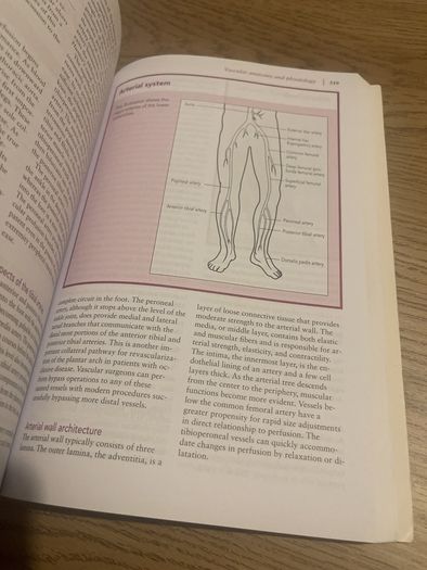 Wound Care Essentials: Practice Principles