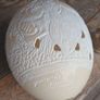 Dummie Khums ostrich egg, rare find, no damage, D18 Image 4