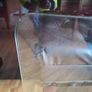 Glass Fireguard Image 3
