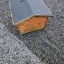dog box Image 2