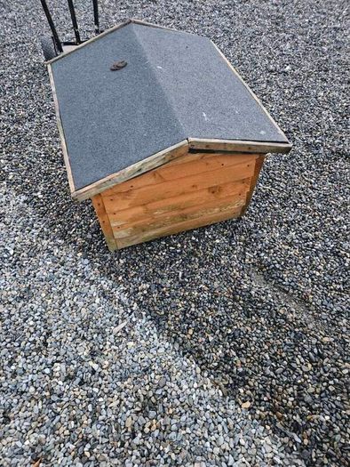 dog box