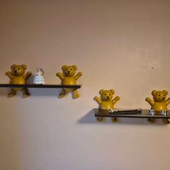 Wall mounted shelves