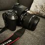 canon 250d Image 5