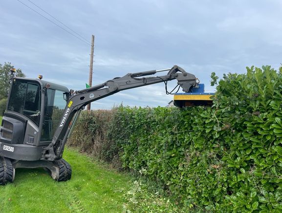 hedge cutting