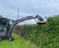 hedge cutting