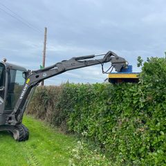 hedge cutting