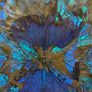 Antique Brazilian Art Deco Butterfly Wing Tray (Blue Morpho) Image 4