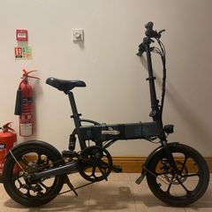 Fiido d2s electric bike