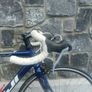 Fuji racer bike Image 4