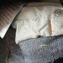 Levis 512 jeans brand new with tags 16yrs Image 10