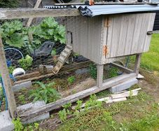 chicken coop